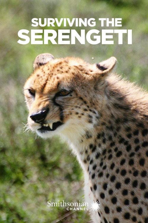 Surviving the Serengeti 2015 official movie poster