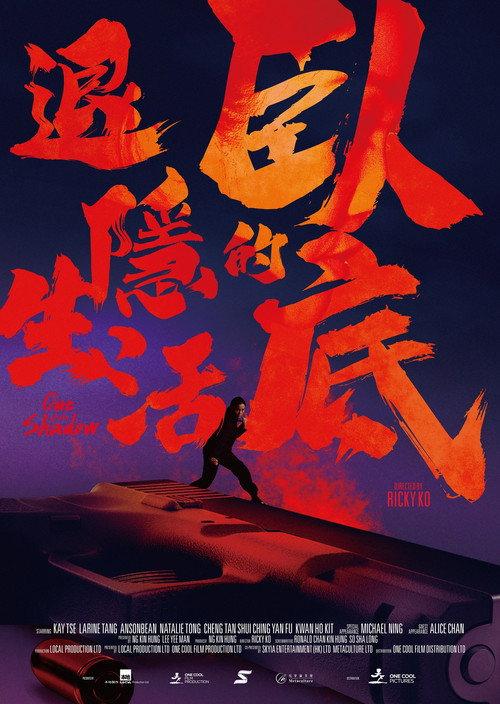 Out of the Shadow 2024 official movie poster