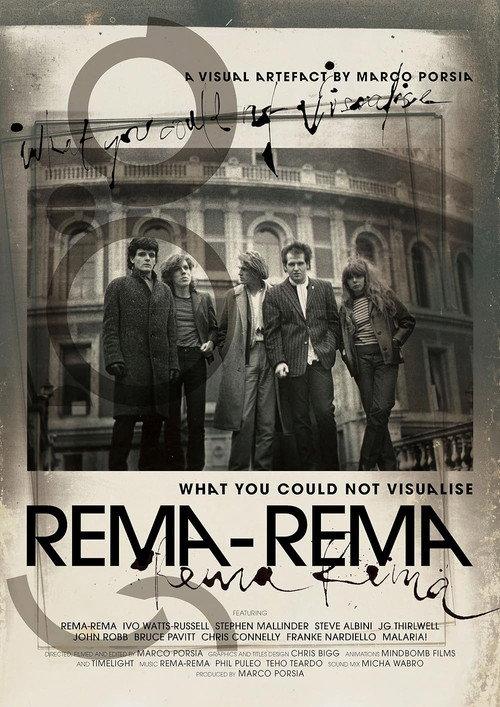 What You Could Not Visualise official movie poster