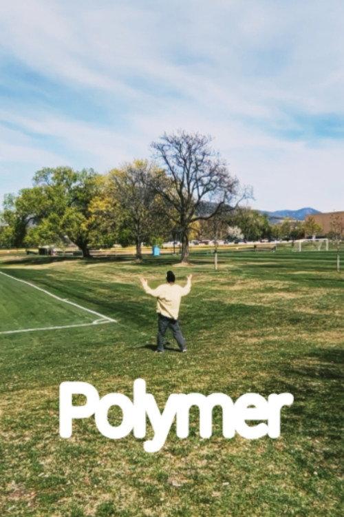 Polymer 2026 official movie poster