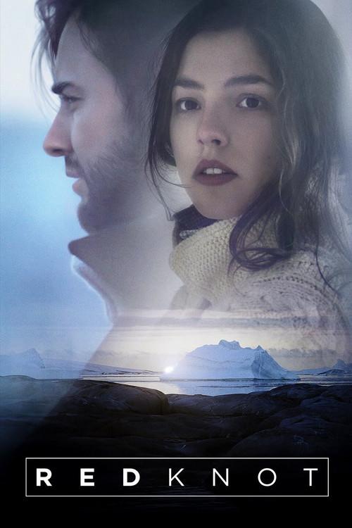 Red Knot 2014 official movie poster