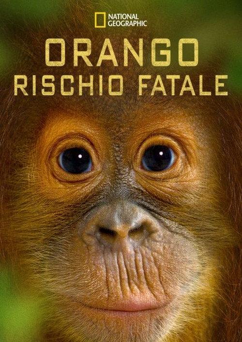 Orango rischio fatale 2015 official movie poster