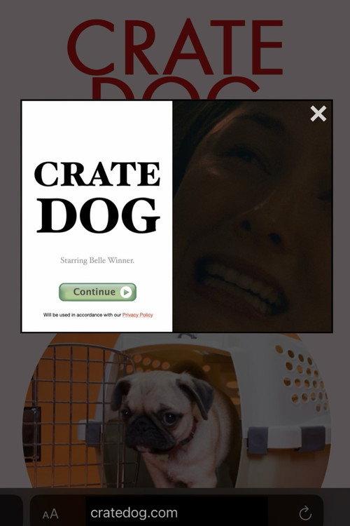 Crate Dog 2024 official movie poster