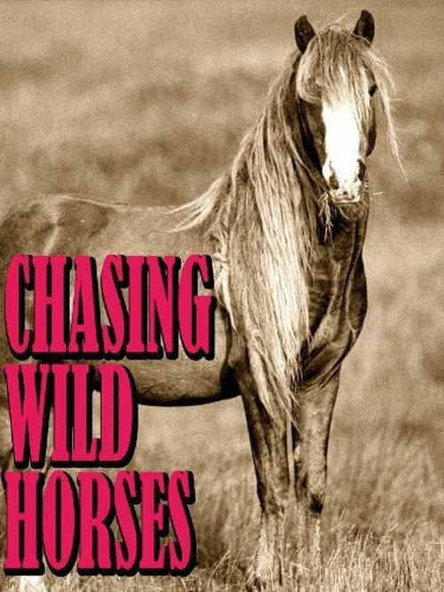 Chasing Wild Horses 2008 official movie poster