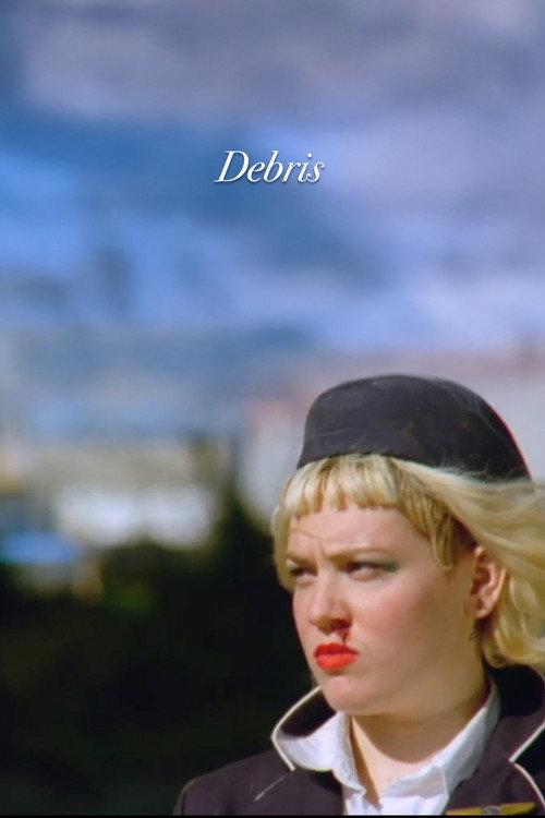 Debris 2006 official movie poster