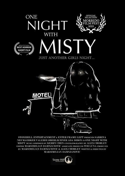 One Night with Misty 2025 official movie poster