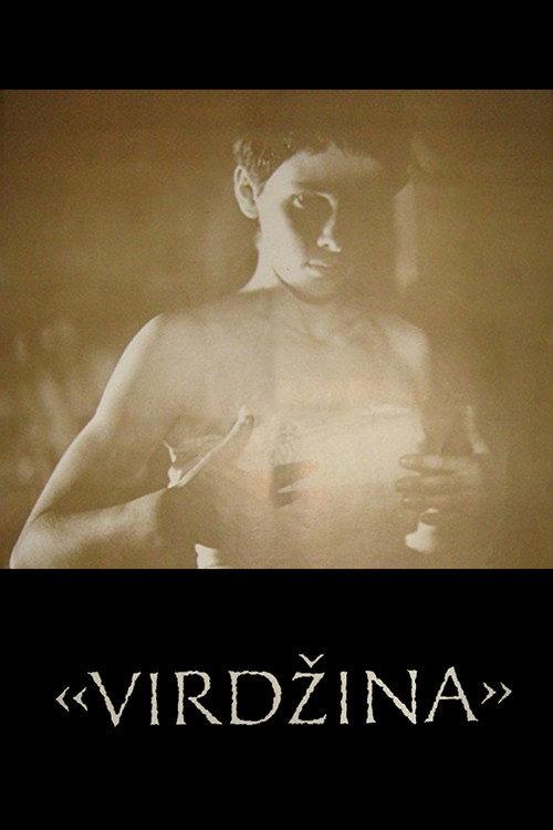 Virgina 1991 official movie poster