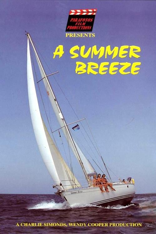 A Summer Breeze 1999 official movie poster