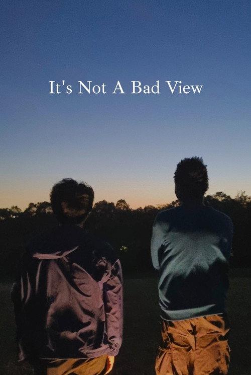 It's Not A Bad View 2025 official movie poster