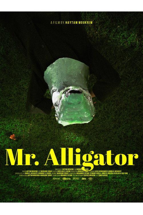 Mr. Alligator official movie poster
