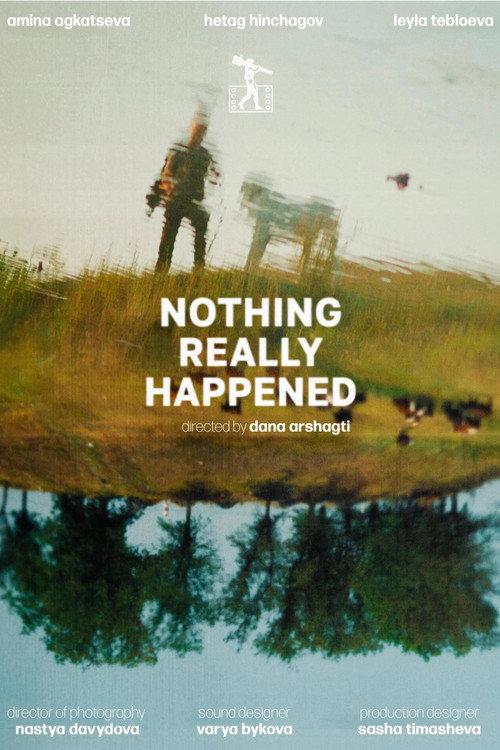 Nothing Really Happened 2024 official movie poster