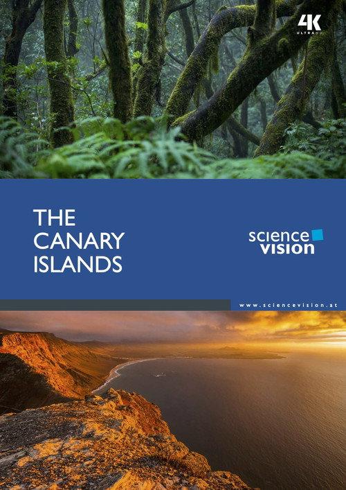 The Canary Islands 2016 official movie poster