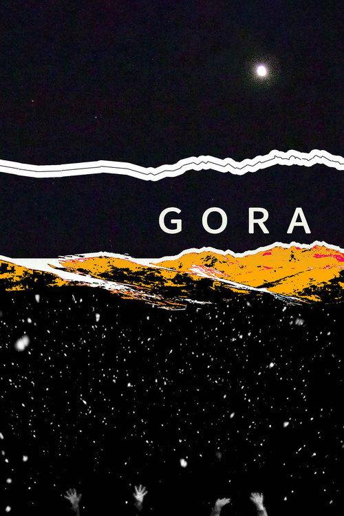 Gora 2017 official movie poster