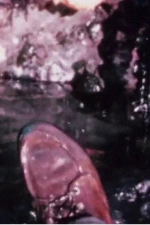 Cleansed II 1969 official movie poster