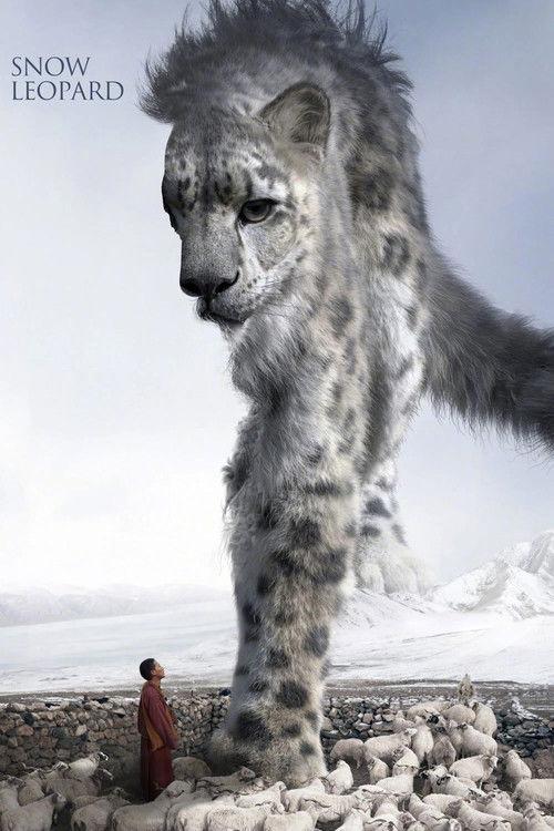 Snow Leopard 2023 official movie poster