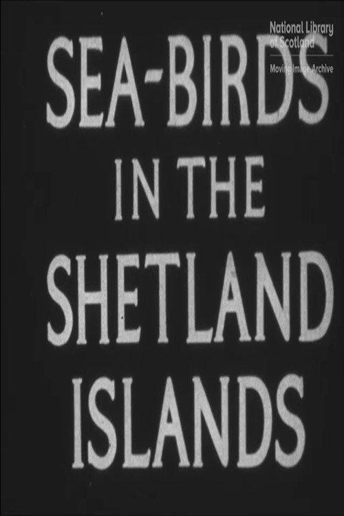 Seabirds in the Shetland Islands 1932 official movie poster