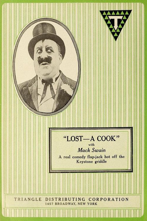 Lost: A Cook 1917 official movie poster