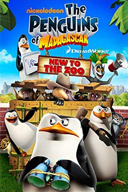 The Penguins of Madagascar: New to the Zoo 2010 official movie poster