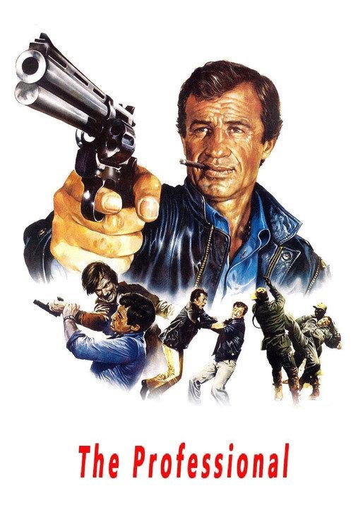 The Professional 1981 official movie poster