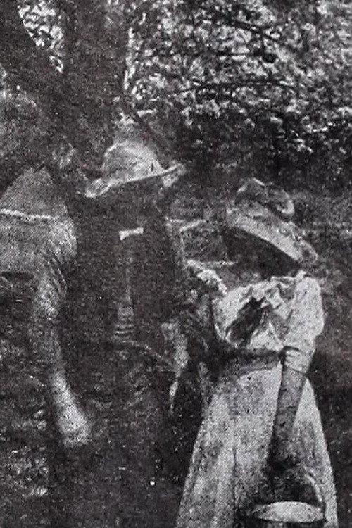 In the Season of Buds 1910 official movie poster