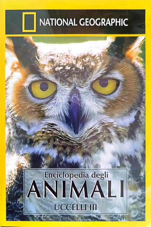 Owls: Silent Hunters 2001 official movie poster
