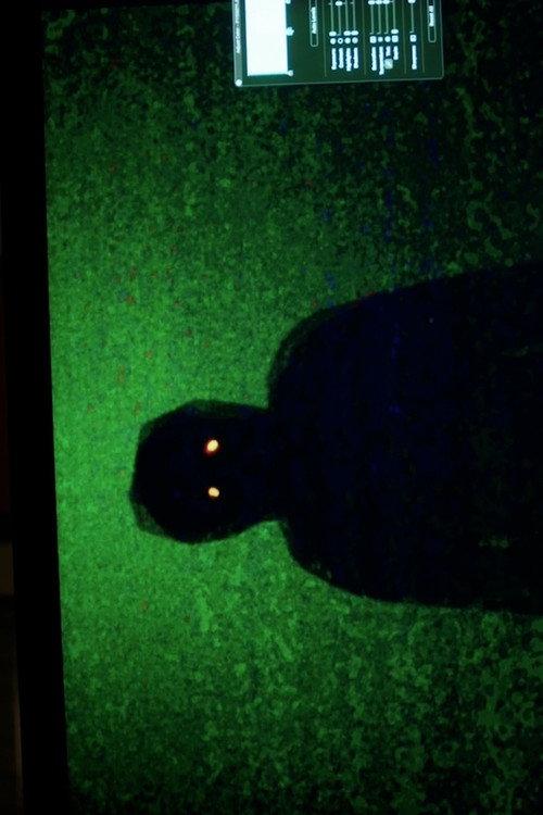 Dektol 2024 official movie poster