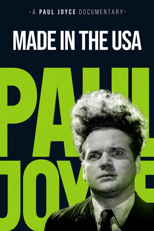 Made in the USA 1993 official movie poster