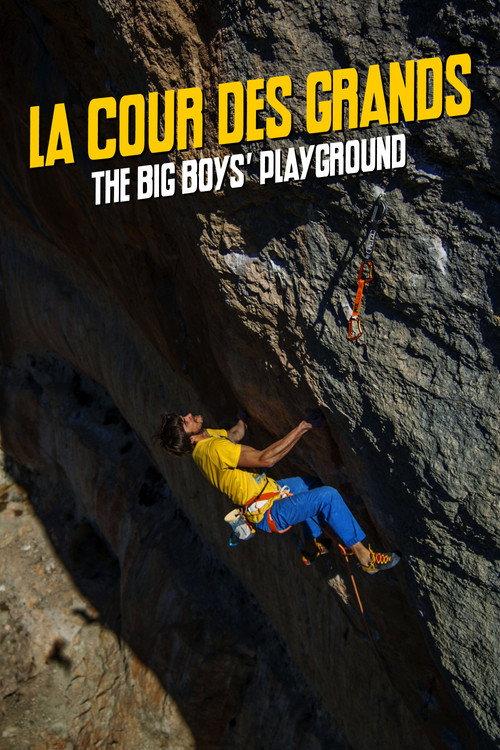 The Big Boys' Playground 2016 official movie poster