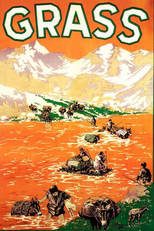 Grass: A Nation's Battle for Life 1925 official movie poster