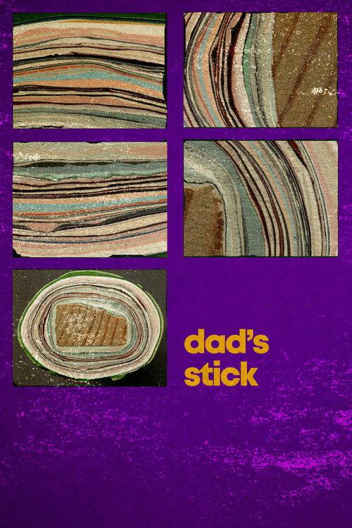 Dad's Stick 2012 official movie poster