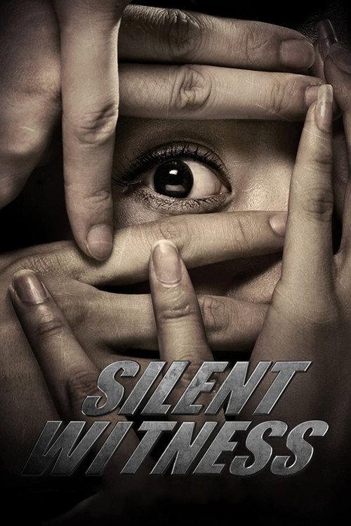 Silent Witness 2013 official movie poster