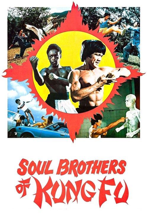 Soul Brothers of Kung Fu 1977 official movie poster