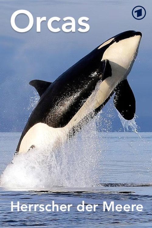 Orcas - Herrscher der Meere 2024 official movie poster