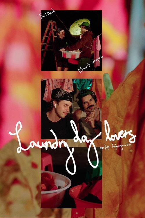 Laundry day lovers 2026 official movie poster