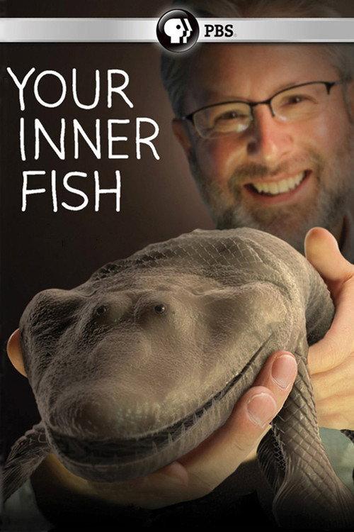 Your Inner Fish 2014 official movie poster