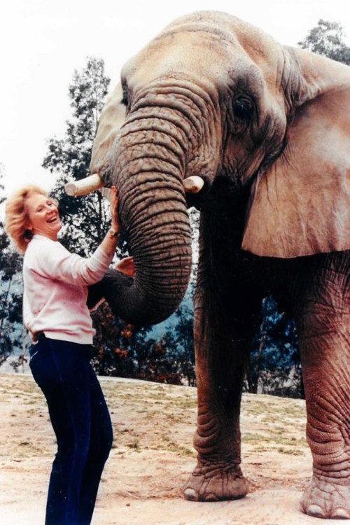 I Talk to Animals 1990 official movie poster