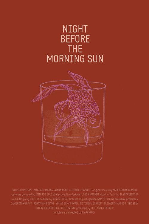 Night Before the Morning Sun 2015 official movie poster