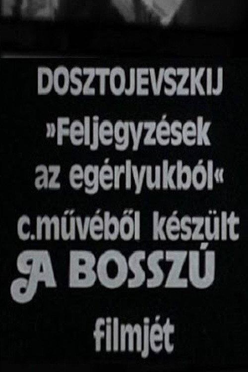 A bosszú 1977 official movie poster