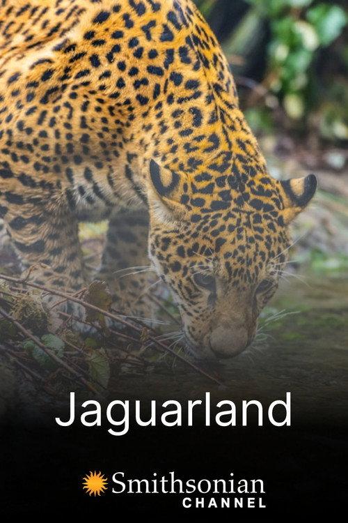 Jaguarland 2020 official movie poster