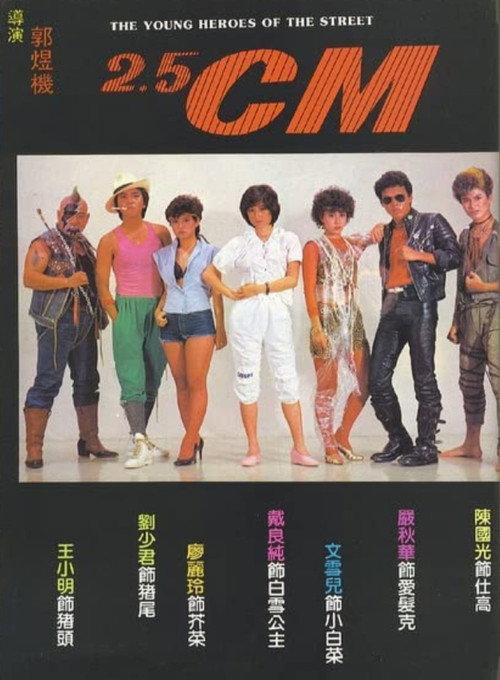 The Young Heroes of the Street 1982 official movie poster