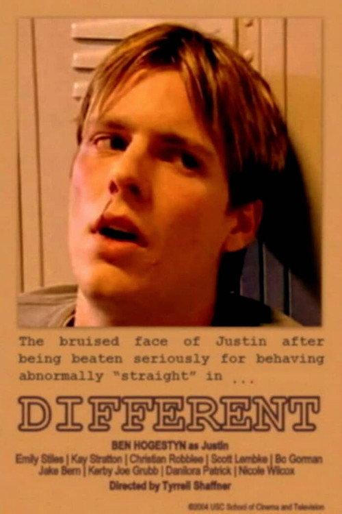 Different 2004 official movie poster