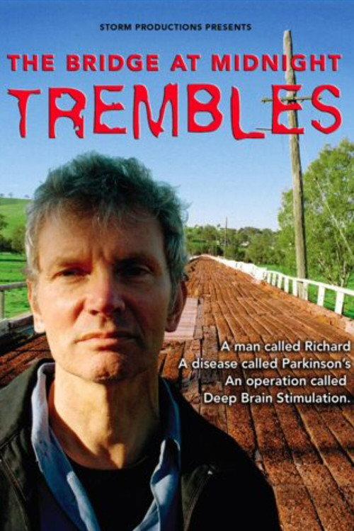 The Bridge at Midnight Trembles 2006 official movie poster