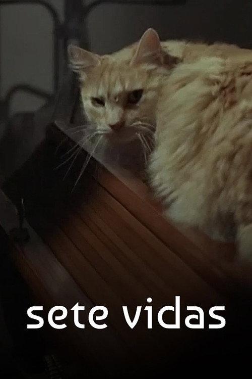 Sete Vidas 2007 official movie poster