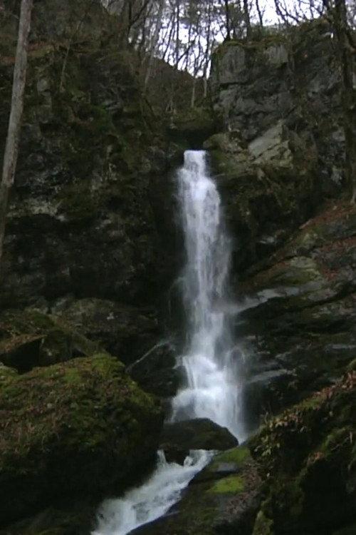 Falling Water, Scattered Scenery 2010 official movie poster