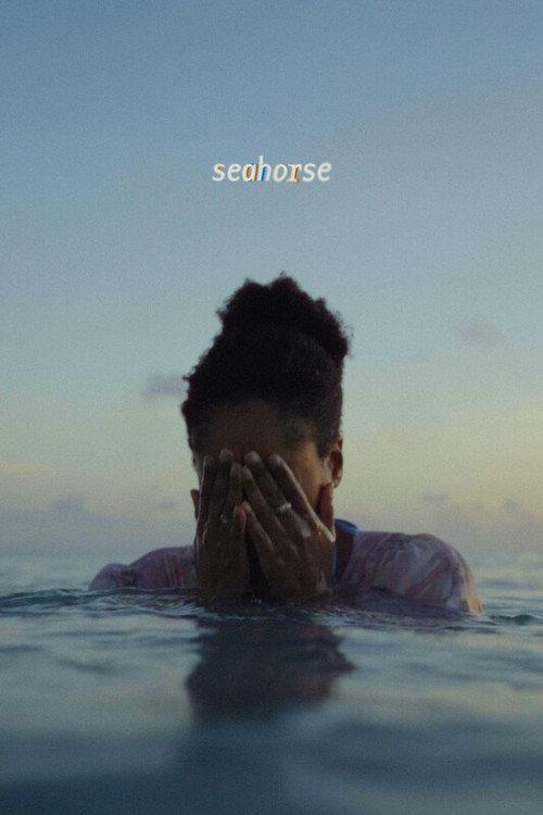 Seahorse 2026 official movie poster