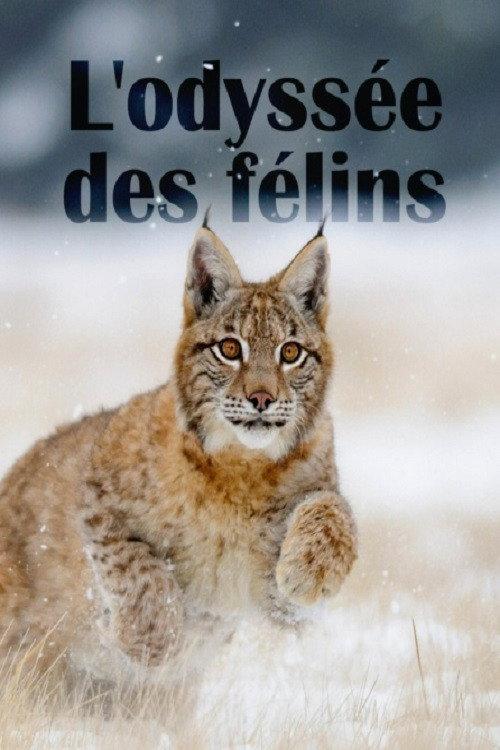 The Odyssey Of Felines 2015 official movie poster