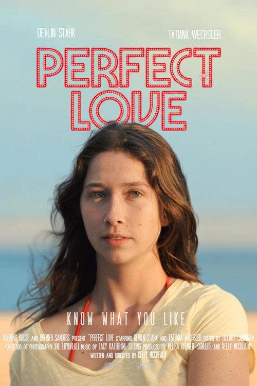 Perfect Love 2026 official movie poster