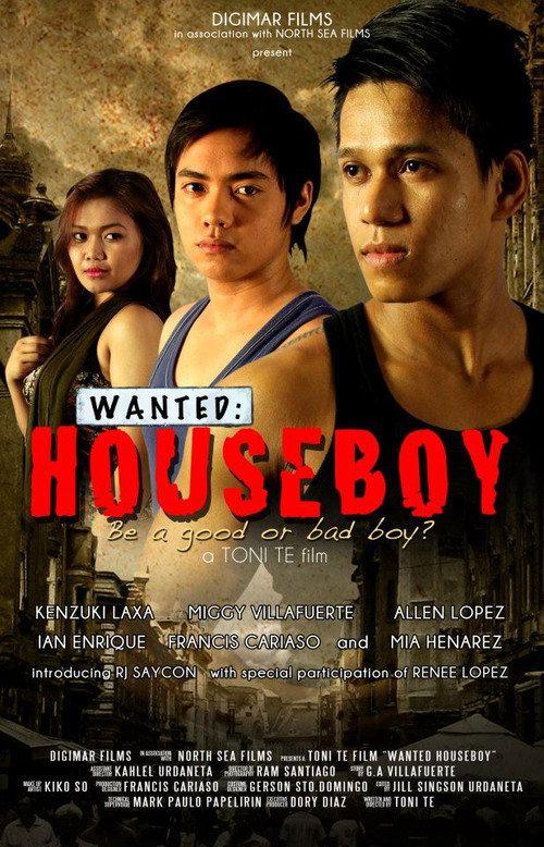 Wanted: Houseboy 2013 official movie poster
