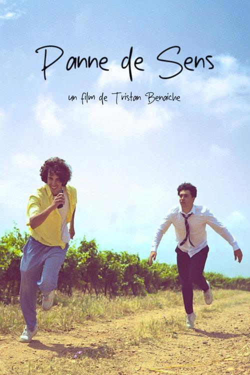 Panne De Sens 2025 official movie poster