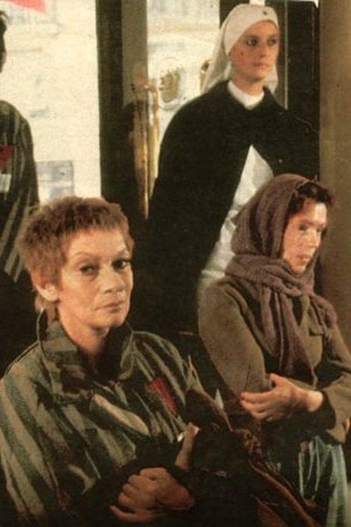 Le Retour d'Elisabeth Wolff 1982 official movie poster